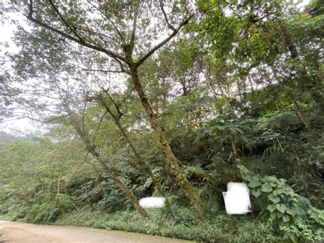 Phase 1 Irisville Subdivision, Brgy. Irisan, Baguio City LOT.